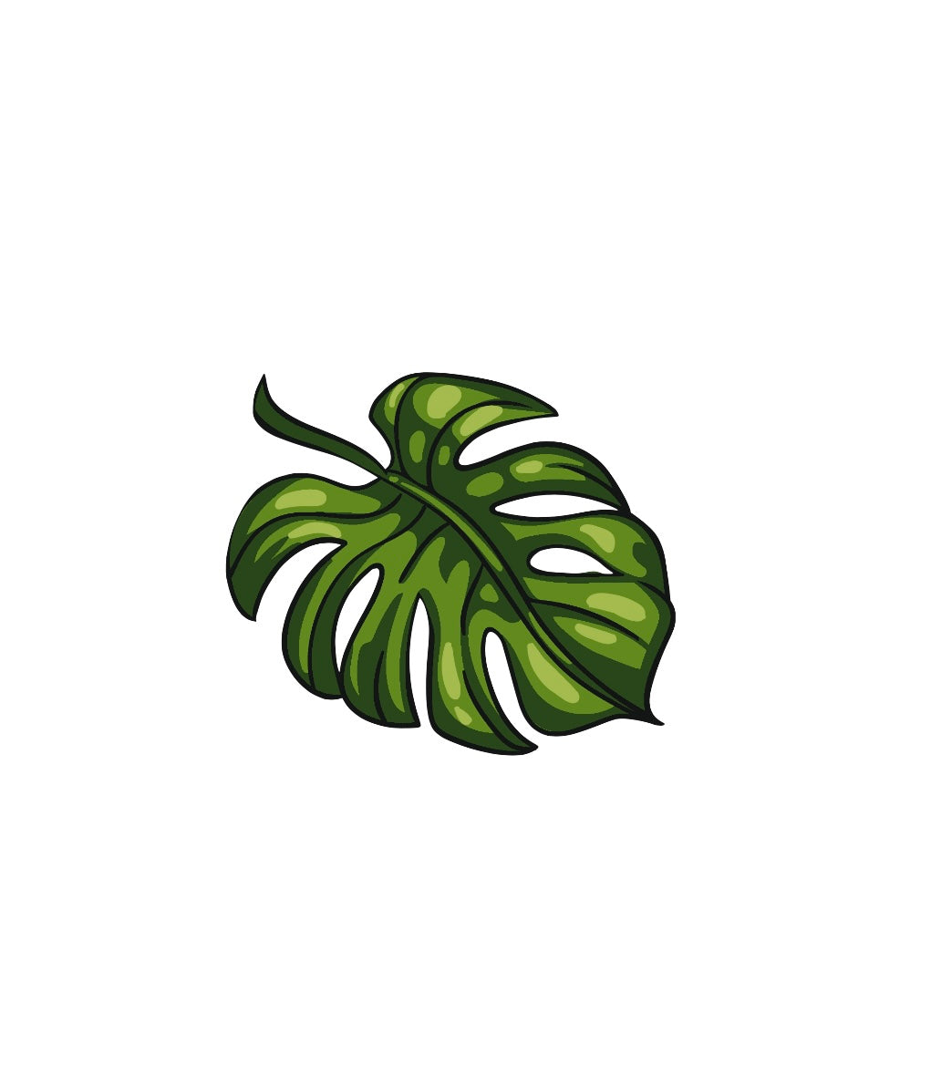 Monstera Leaf Name Drop Stickers (Pack of 12), ML001, ML001ND